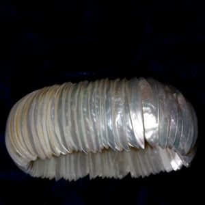 Abalone shell bracelet